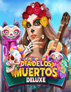 ความลับเส้นทางเข้า joker282 และวิธีเล่นให้เฉียบ